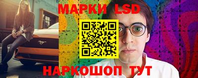 mdpv Ярославль