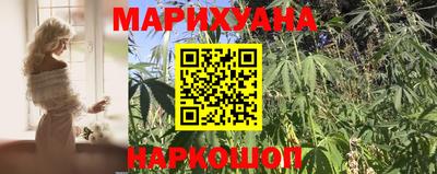 сатива Шебекино