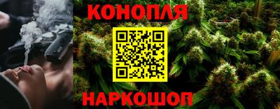mdpv Ярославль
