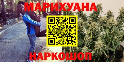 mdpv Ярославль