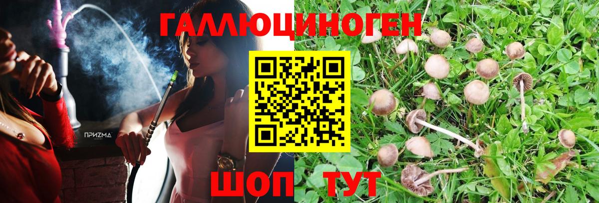 Галлюциногенные грибы Magic Shrooms Рыбинск