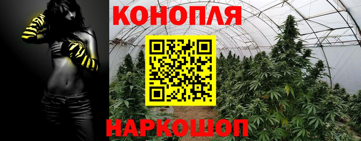 Бошки Шишки тримм  Вход с VPN  Каннабис семена  Рыбинск 